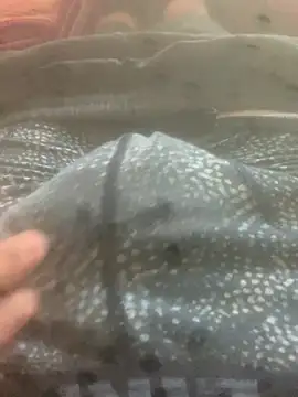 solomec online show from October 12, 7:43 am