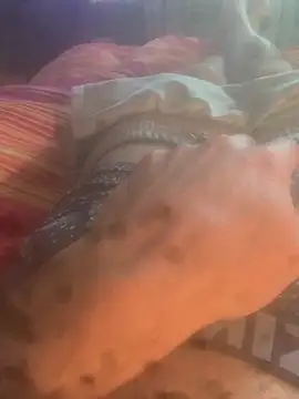 solomec online show from September 20, 5:45 am