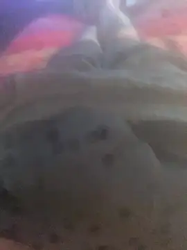 solomec online show from September 25, 6:41 am