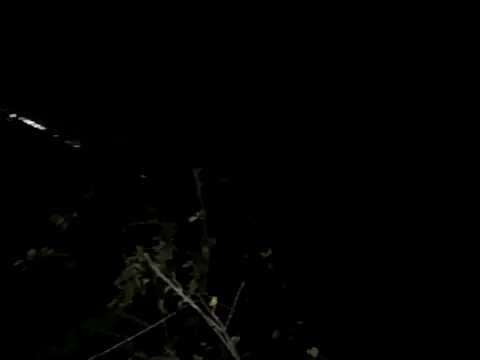 Backshort11 online show from November 4, 3:21 am