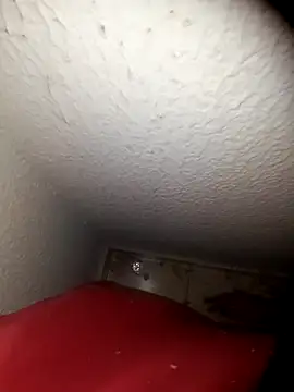 alexandre12115 online show from February 2, 9:07 am