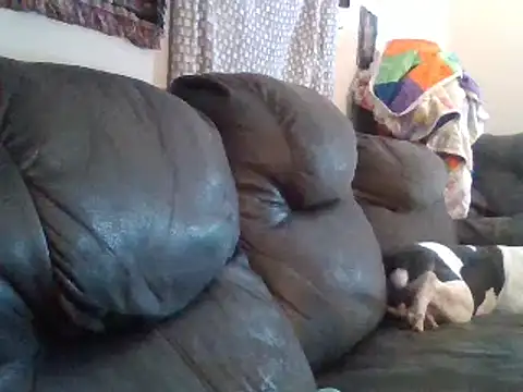 IvanaPlenty online show from February 1, 12:15 pm