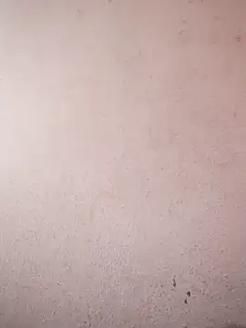 sana14 online show from February 6, 5:14 am