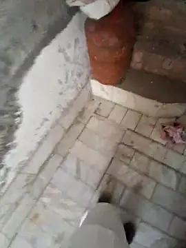 menakshiiikaur online show from March 29, 2:57 am