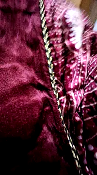 Snapshot of menakshiiikaur chatting on December 24, 2:22 pm menakshiiikaur online show from December 24, 2:22 pm