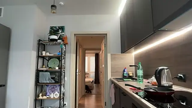 Snapshot of jainesummer chatting on December 4, 8:46 am jainesummer online show from December 4, 8:46 am