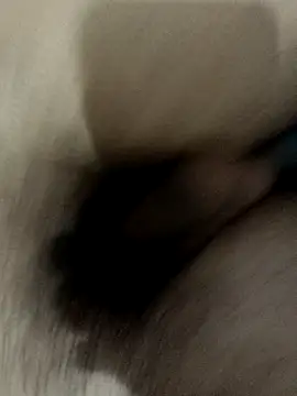 Snapshot of QUEEN-X-CPL chatting on September 23, 5:42 pm QUEEN-X-CPL online show from September 23, 5:42 pm