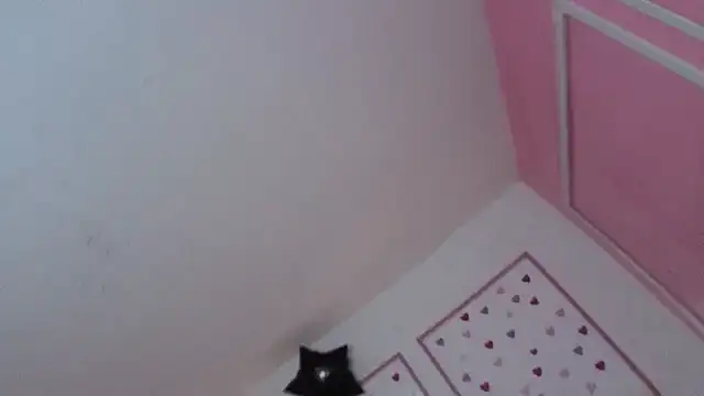 stephania t online show from January 10, 12:33 pm