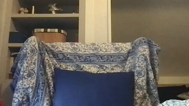 pantomax online show from November 29, 8:03 am