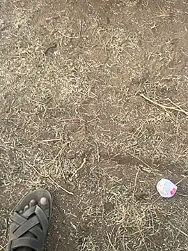 tamil000000 online show from March 10, 12:49 pm