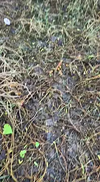 tamil000000 online show from March 16, 1:38 am