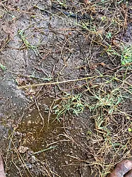 tamil000000 online show from March 13, 1:43 am