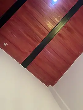 Cassie-millers online show from December 20, 2:59 pm