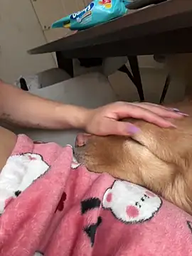 ariiel  online show from March 27, 1:34 pm