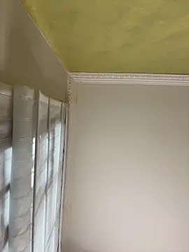 aurora divine online show from November 16, 1:05 pm