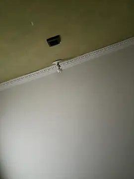 aurora divine online show from November 8, 1:03 pm