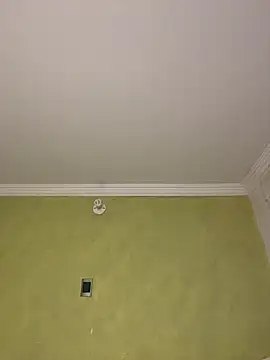 aurora divine online show from February 11, 10:53 pm