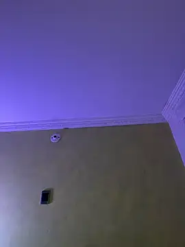 aurora divine online show from February 22, 1:13 pm