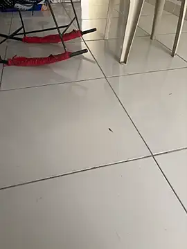 Snapshot of vivicolibri chatting on November 27, 12:49 pm vivicolibri online show from November 27, 12:49 pm