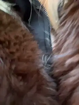 babydolll online show from December 20, 11:35 am