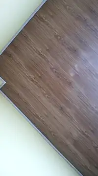 conny 24 online show from February 4, 2:43 pm