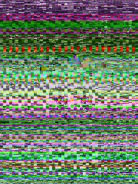 Snapshot of senoritaseno chatting on February 11, 9:03 pm senoritaseno online show from February 11, 9:03 pm