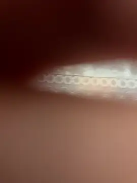 poision51 online show from April 11, 6:32 am