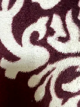 poision51 online show from November 17, 4:38 am