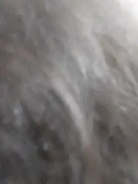 kobita Mohali online show from September 14, 8:15 am