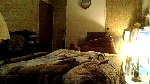 Snapshot of Jay81 chatting on December 18, 9:04 am Jay81 online show from December 18, 9:04 am