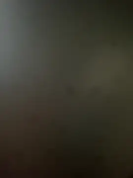 Snapshot of RicarBer chatting on October 25, 5:24 pm RicarBer online show from October 25, 5:24 pm