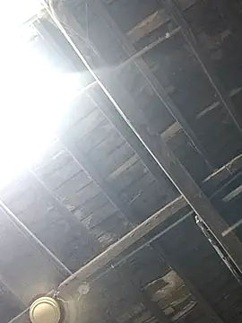 blackcobra94 online show from February 20, 8:36 pm