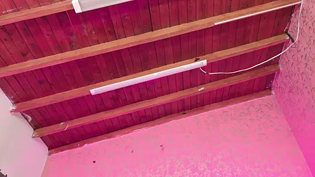 Snapshot of Sofia_martiin chatting on November 14, 3:10 am Sofia martiin online show from November 14, 3:10 am