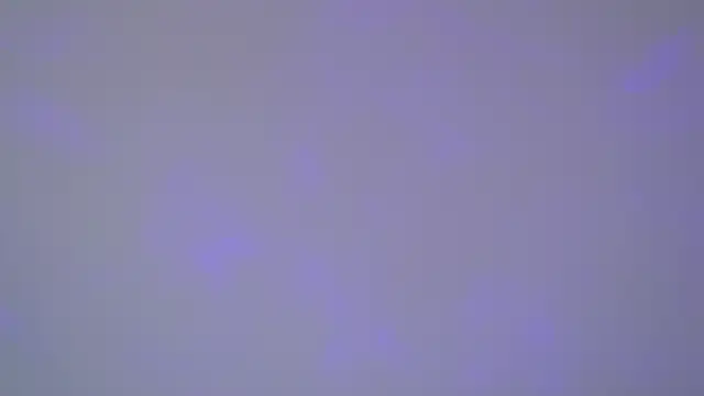 SelinSwarovski online show from November 1, 5:03 am