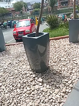 Lexwelll online show from March 16, 11:05 am