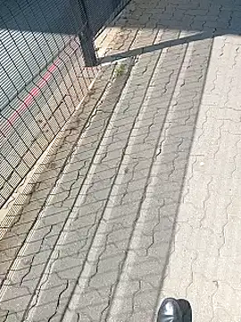 Lexwelll online show from February 26, 8:39 am