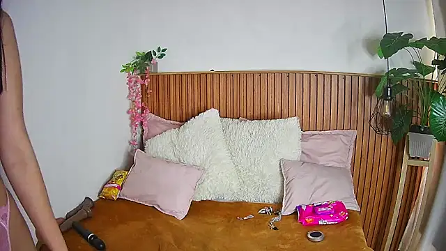 ShyVibes  online show from February 4, 8:26 pm