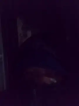 AquaticPlosion online show from March 2, 1:39 am