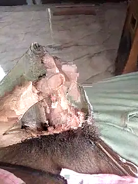 PracticalGum40 online show from April 12, 9:23 am