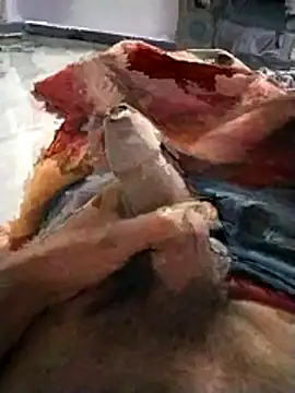 PracticalGum40 online show from November 20, 5:24 pm