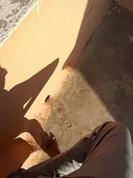 PracticalGum40 online show from January 11, 3:35 am