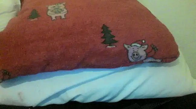 bunnyamy online show from December 5, 5:55 pm