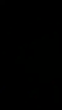 Snapshot of wikilikiliks chatting on December 11, 9:23 pm wikilikiliks online show from December 11, 9:23 pm