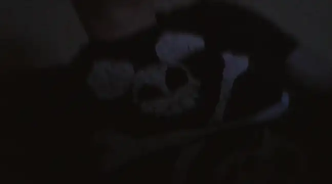 Snapshot of wikilikiliks chatting on January 15, 9:41 pm wikilikiliks online show from January 15, 9:41 pm