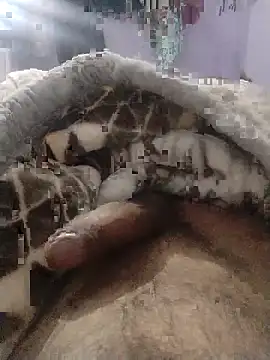 Noname333u online show from December 18, 7:46 am