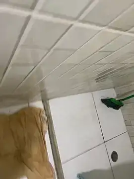 Snapshot of rodrigo21Cm_ chatting on February 6, 2:44 am rodrigo21Cm online show from February 6, 2:44 am