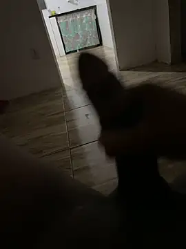 Snapshot of rodrigo21Cm_ chatting on January 11, 3:02 am rodrigo21Cm online show from January 11, 3:02 am