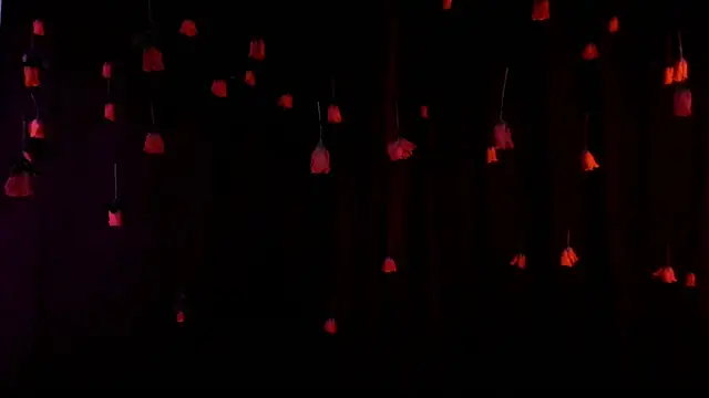 lnxmst online show from February 14, 11:49 pm