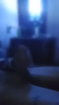 carloshot31 online show from April 2, 10:33 am