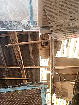 Snapshot of Skinny_Bigass_23 chatting on November 17, 7:01 am Skinny Bigass 23 online show from November 17, 7:01 am